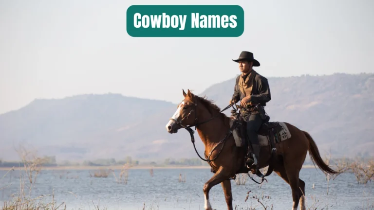 Cowboy Names